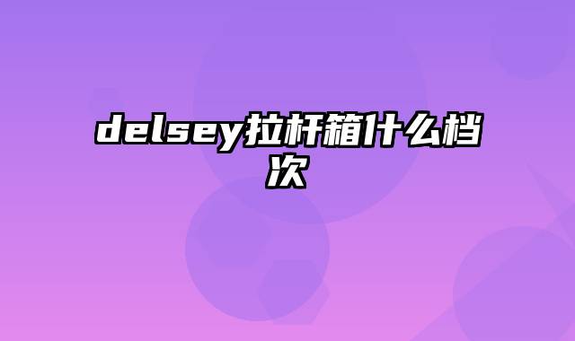 delsey拉杆箱什么档次