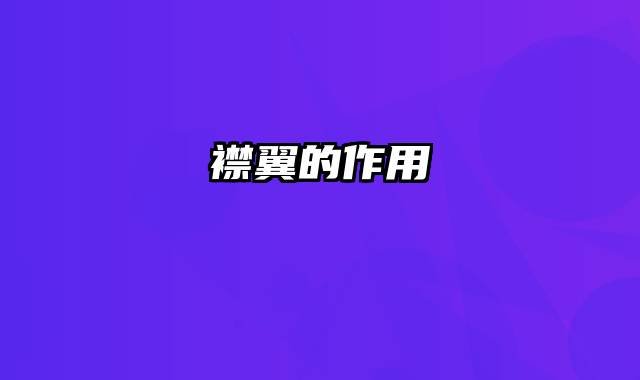 襟翼的作用