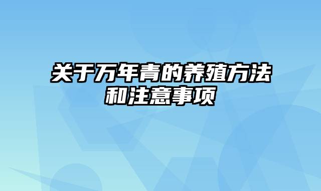 关于万年青的养殖方法和注意事项