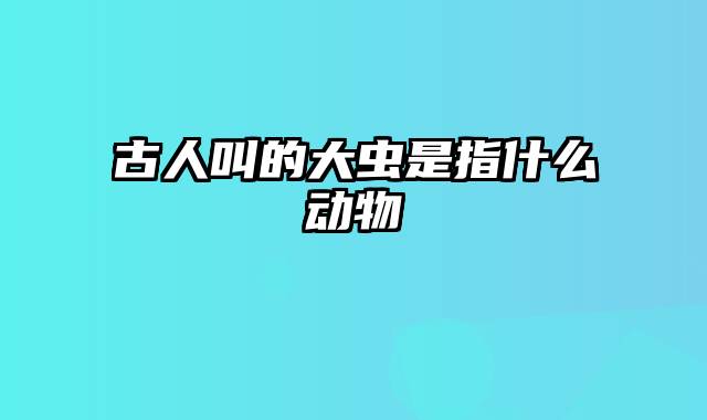 古人叫的大虫是指什么动物