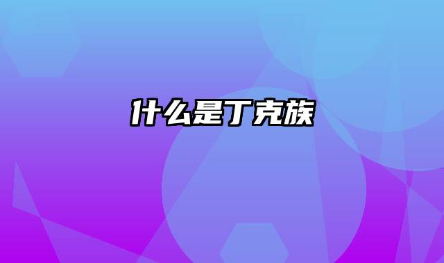 什么是丁克族