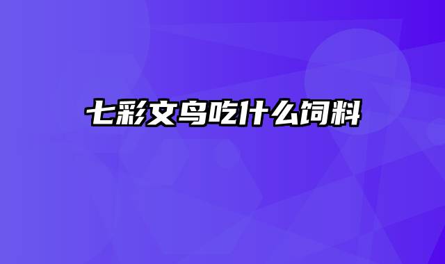 七彩文鸟吃什么饲料