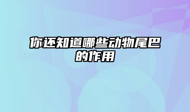 你还知道哪些动物尾巴的作用