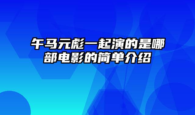 午马元彪一起演的是哪部电影的简单介绍