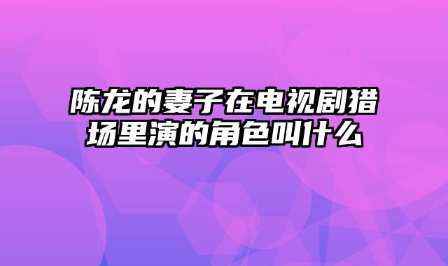 陈龙的妻子在电视剧猎场里演的角色叫什么