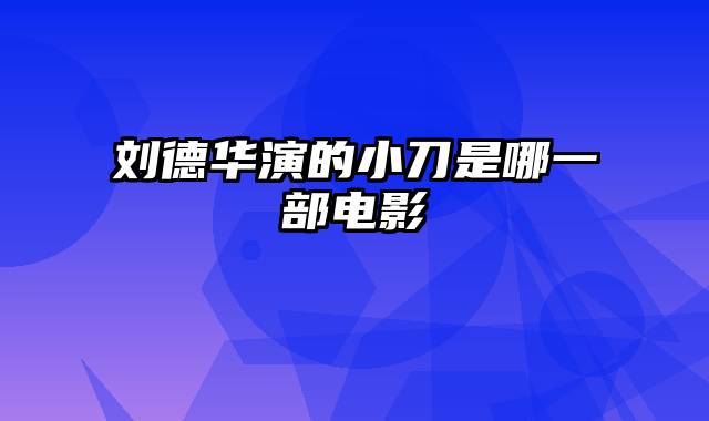 刘德华演的小刀是哪一部电影