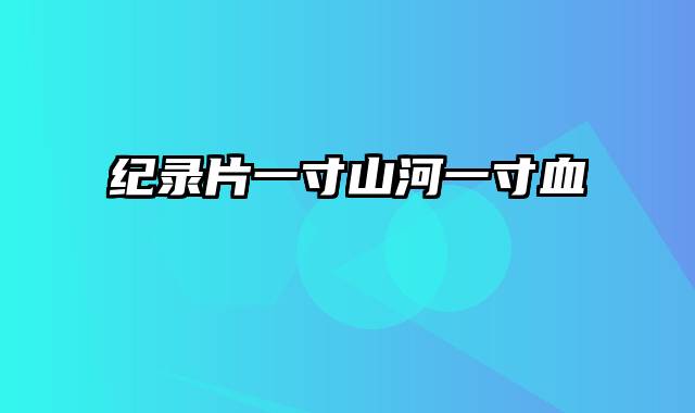 纪录片一寸山河一寸血
