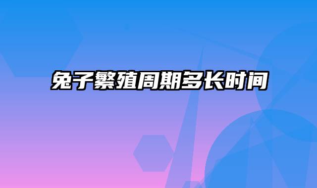 兔子繁殖周期多长时间
