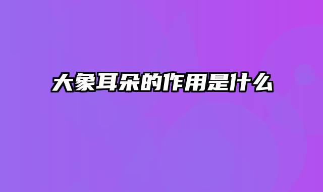 大象耳朵的作用是什么
