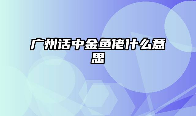 广州话中金鱼佬什么意思