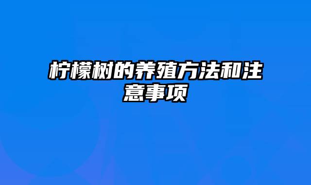 柠檬树的养殖方法和注意事项