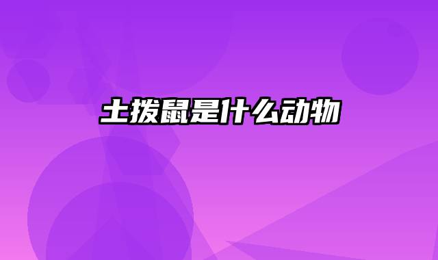 土拨鼠是什么动物
