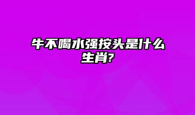 牛不喝水强按头是什么生肖?