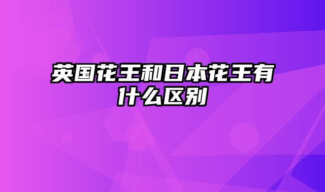 英国花王和日本花王有什么区别