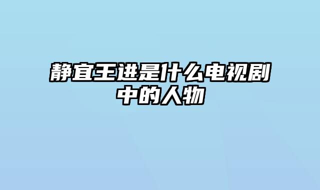 静宜王进是什么电视剧中的人物