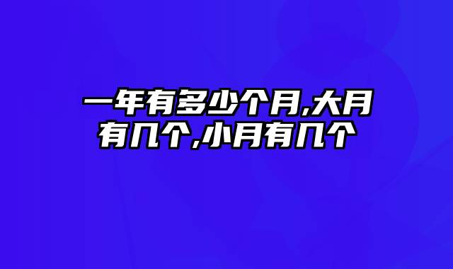 一年有多少个月,大月有几个,小月有几个