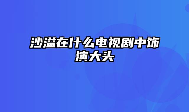 沙溢在什么电视剧中饰演大头