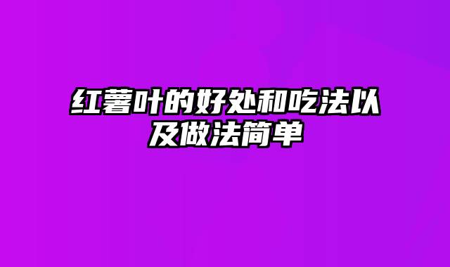 红薯叶的好处和吃法以及做法简单