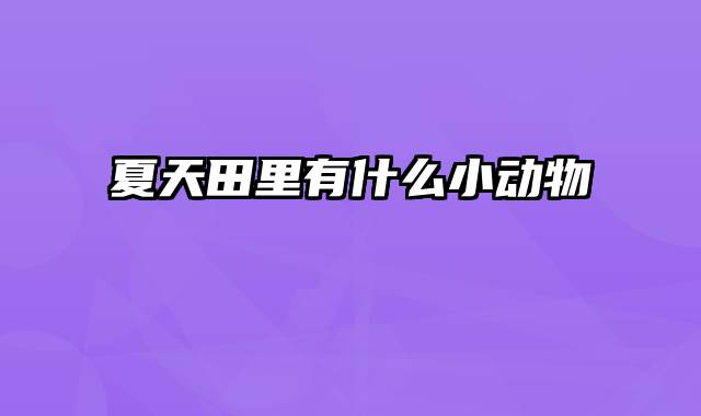 夏天田里有什么小动物