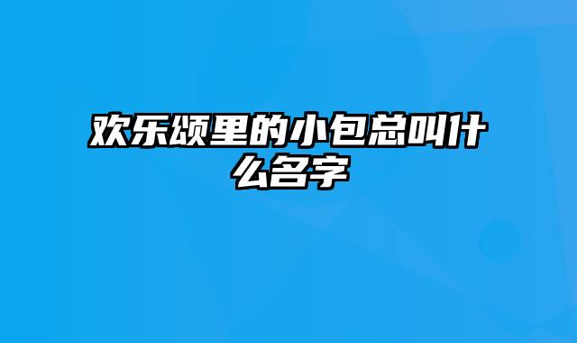 欢乐颂里的小包总叫什么名字