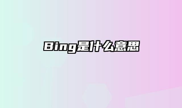 Bing是什么意思