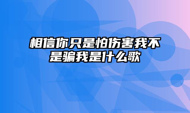 相信你只是怕伤害我不是骗我是什么歌