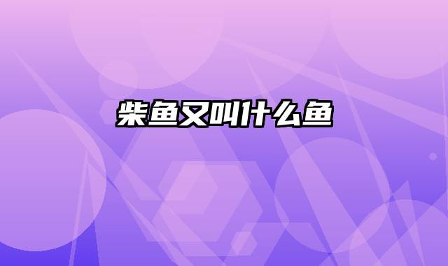 柴鱼又叫什么鱼