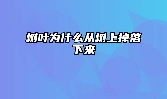 树叶为什么从树上掉落下来