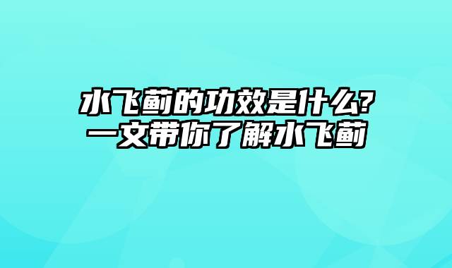 水飞蓟的功效是什么?一文带你了解水飞蓟