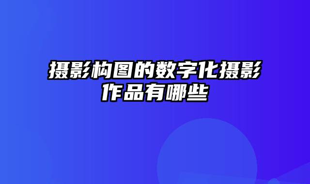 摄影构图的数字化摄影作品有哪些