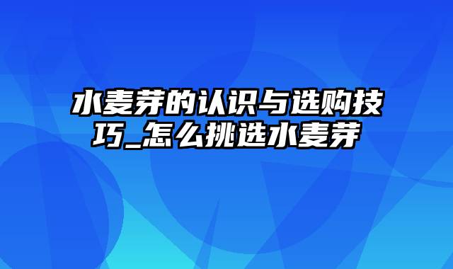 水麦芽的认识与选购技巧_怎么挑选水麦芽