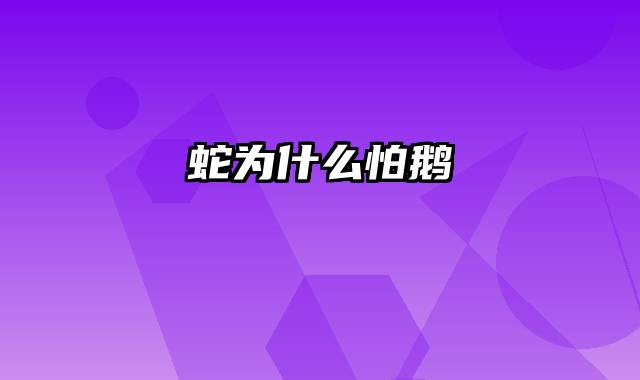 蛇为什么怕鹅