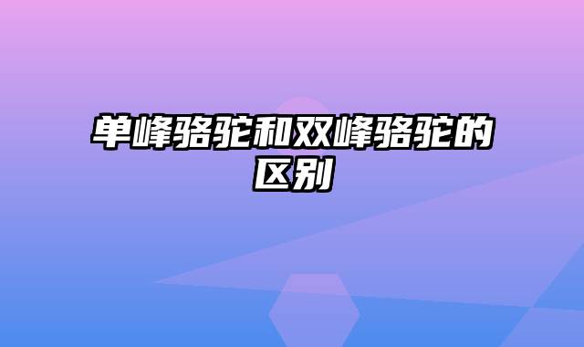 单峰骆驼和双峰骆驼的区别