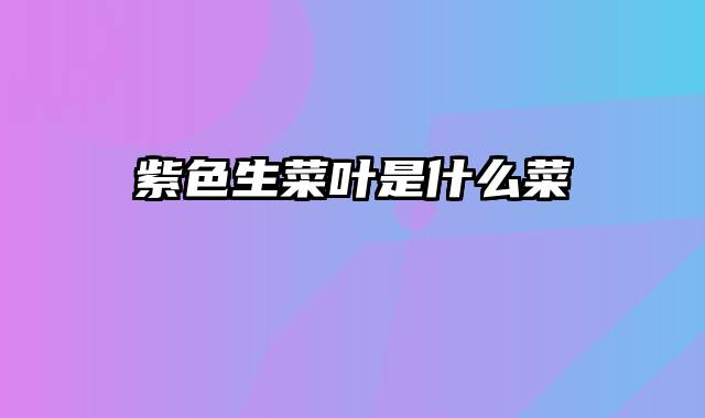 紫色生菜叶是什么菜