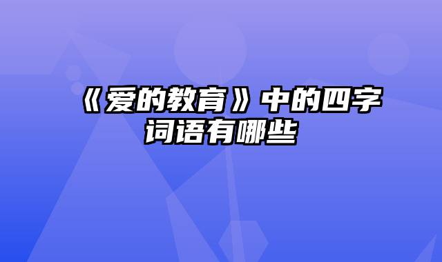 《爱的教育》中的四字词语有哪些