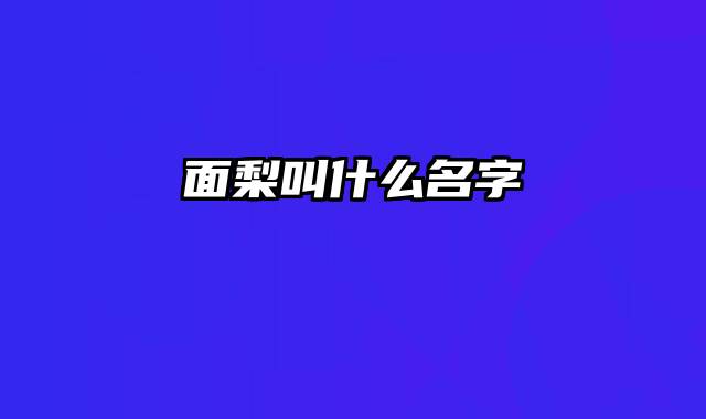 面梨叫什么名字