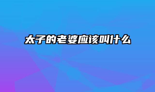 太子的老婆应该叫什么