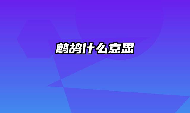鹧鸪什么意思