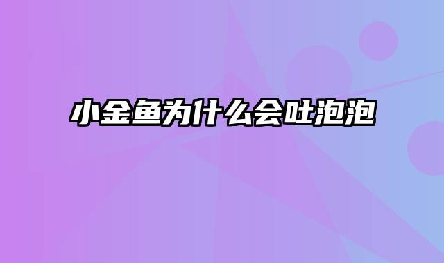 小金鱼为什么会吐泡泡