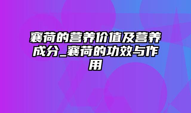 襄荷的营养价值及营养成分_襄荷的功效与作用