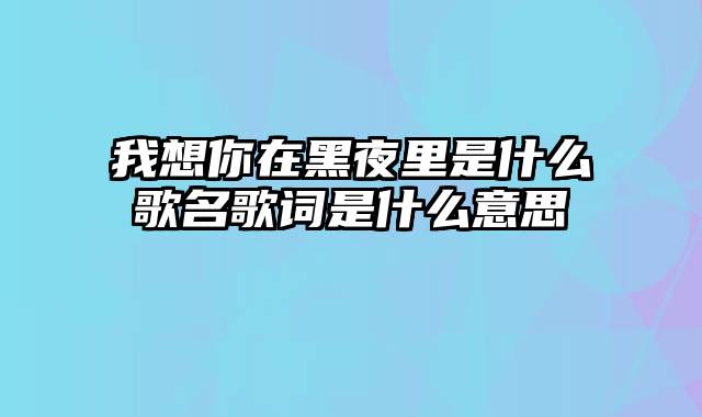 我想你在黑夜里是什么歌名歌词是什么意思