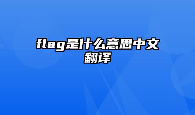 flag是什么意思中文翻译