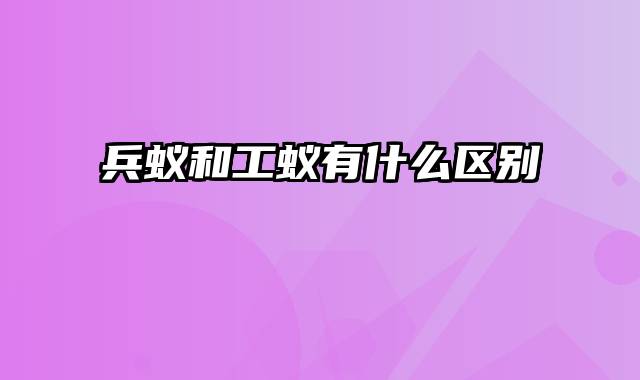 兵蚁和工蚁有什么区别