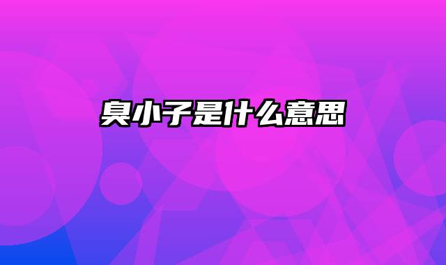 臭小子是什么意思