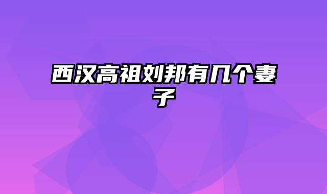 西汉高祖刘邦有几个妻子
