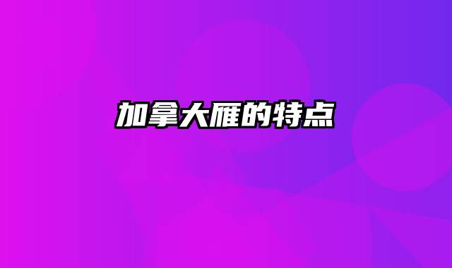 加拿大雁的特点