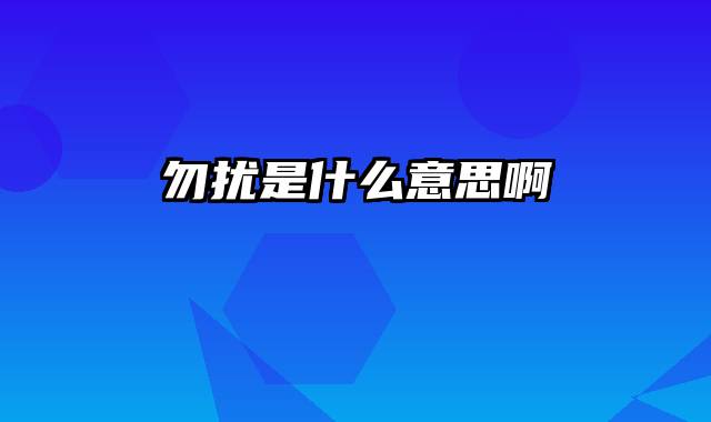 勿扰是什么意思啊