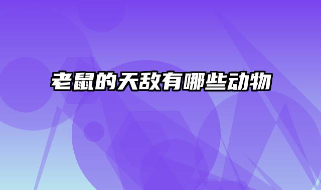 老鼠的天敌有哪些动物