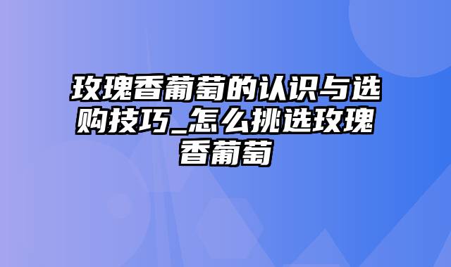 玫瑰香葡萄的认识与选购技巧_怎么挑选玫瑰香葡萄