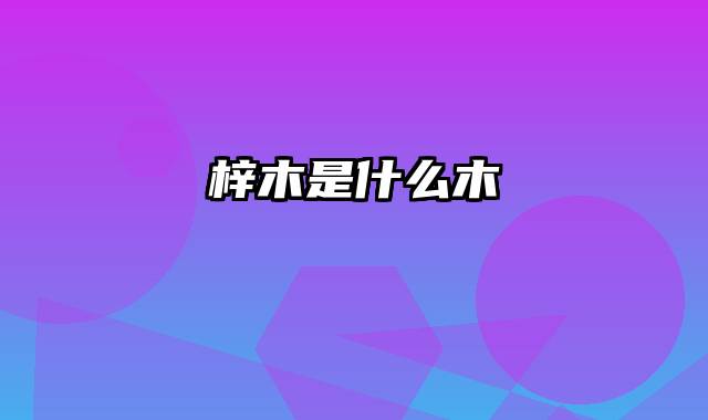 梓木是什么木